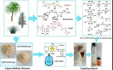 我室付时雨教授团队Bioresour. Technol. 温和条件下以Pd和杂多酸将生物质解构为木质素油和平台化学品