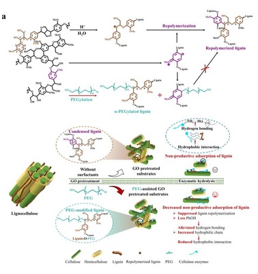 生物资源与生物炼制研究团队在Chemical Engineering Journal期刊上发表研究成果