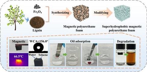 宁波材料所在木质素基聚氨酯高效吸油泡沫方面取得系列研究进展