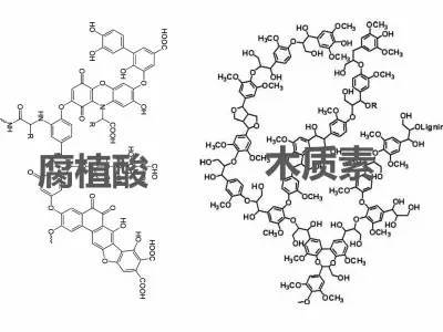 一起揭秘腐植酸的神秘面纱,都看看吧