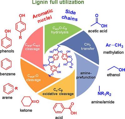 木质素催化转化为有价化学品:芳香核和侧链的充分利用