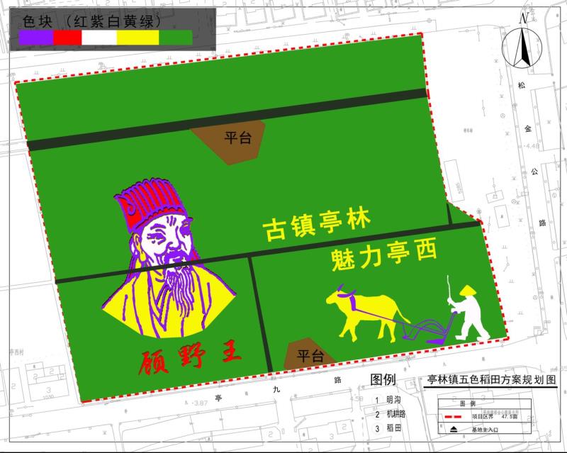 龙8国际十月稻香飘，上海发布《顾野王》